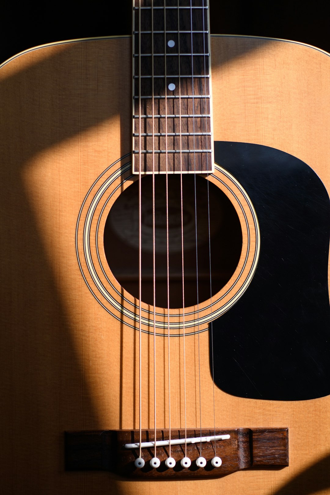 My nephew started lessons, then stopped. Dreadnought body, steel strings, includes a soft gig bag. Plays well, just needs the strings replaced before serious use.