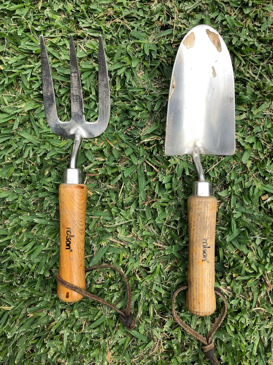 Main Swap Image