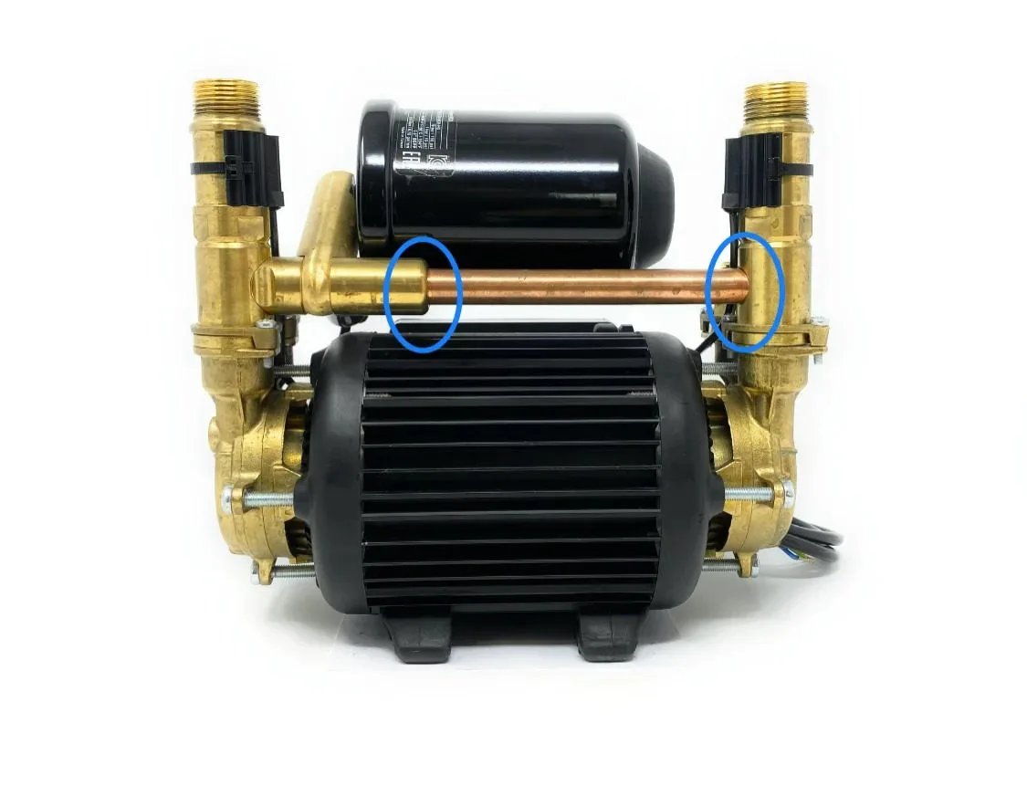 Main Swap Image