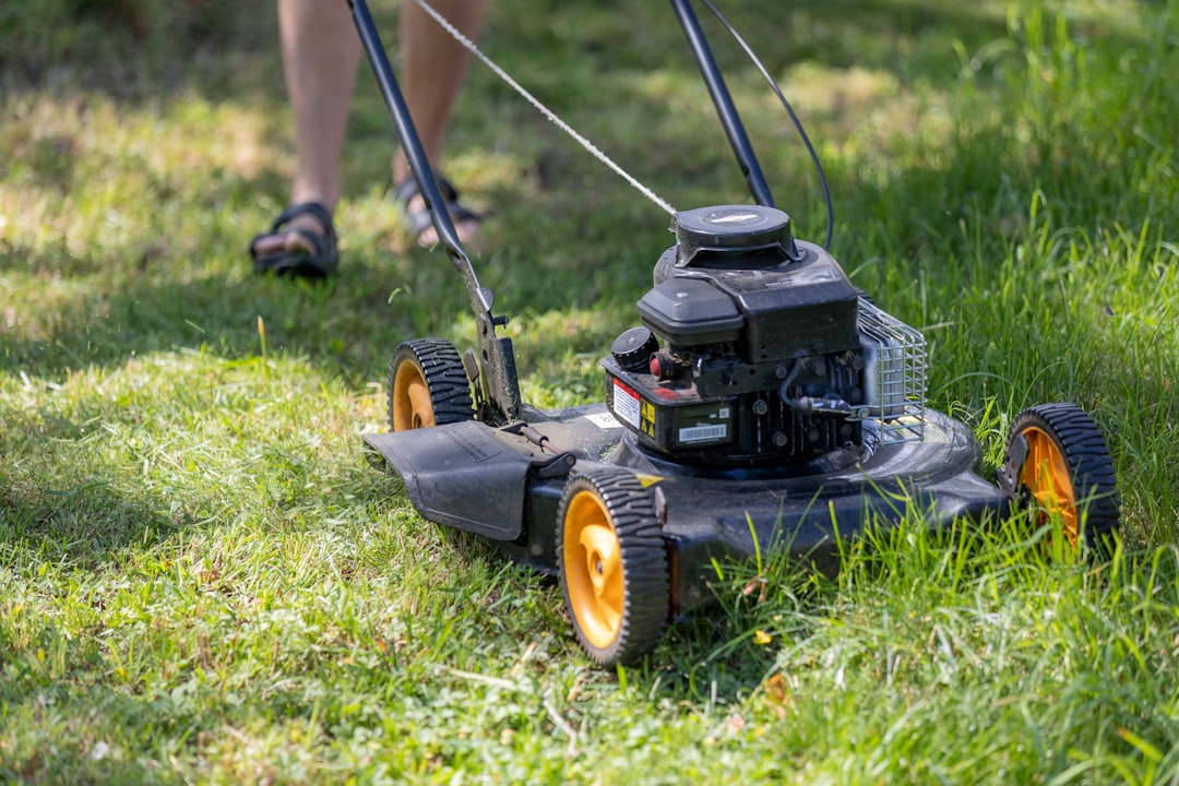 I do my own three gardens and have a decent petrol mower. Happy to do small front/back lawns on Saturday mornings within 15 mins drive of S40. Bring-your-own bin bags.