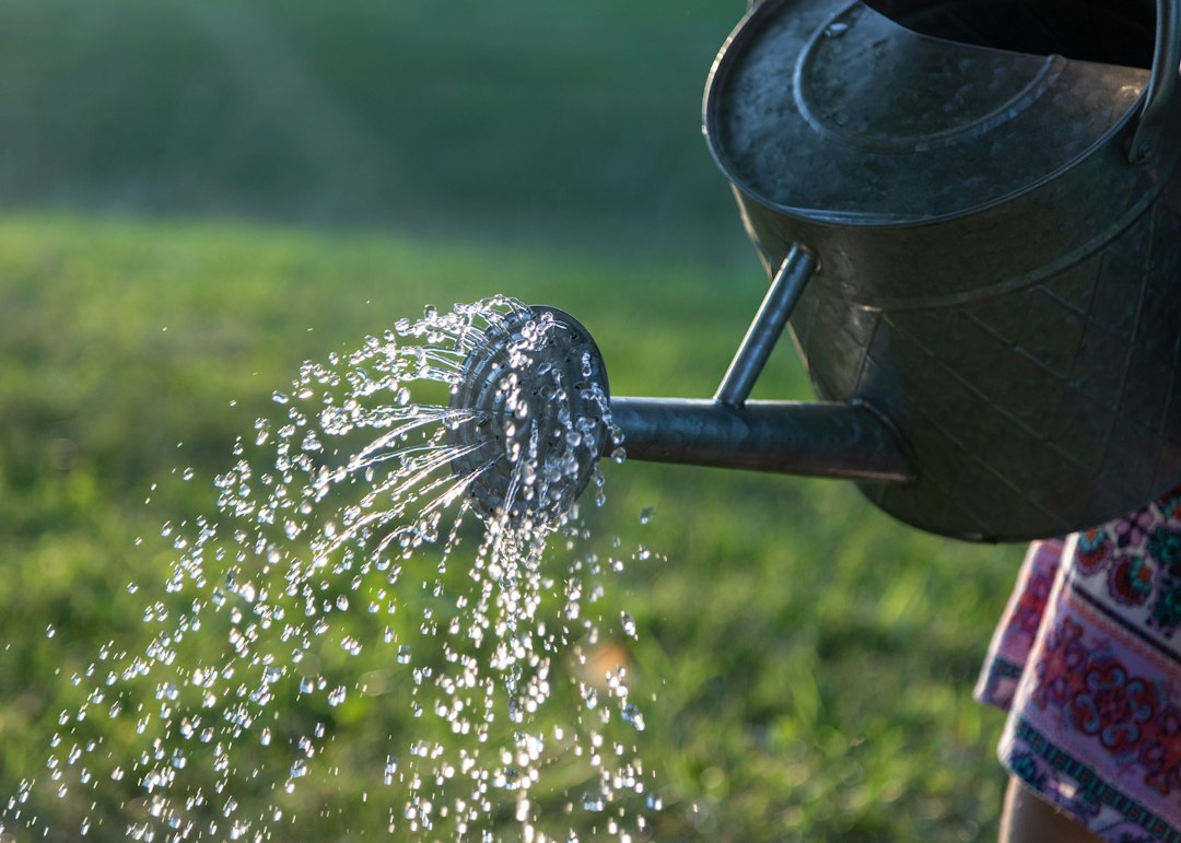 Saving Water, Cutting Carbon: How Swapping Helps Fight Climate Change